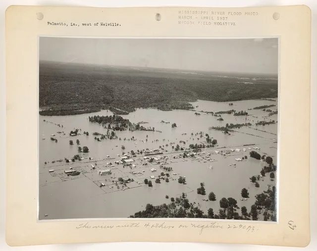 Palmetto, LA city image