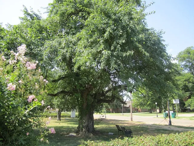 I took photo in Rayville, LA, with Canon camera.