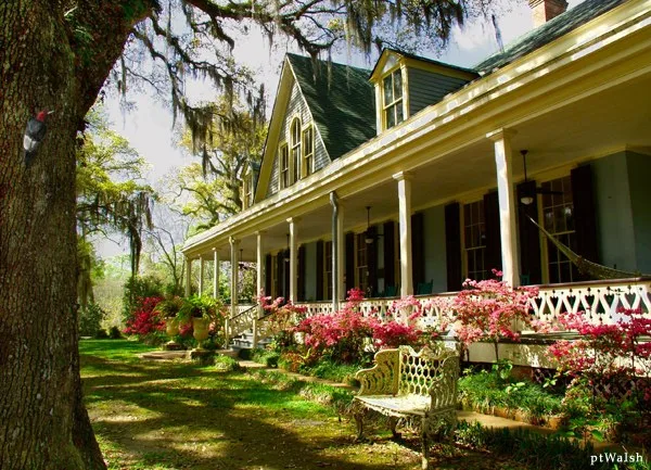 Antebellum Plantation Home, Butler Greenwood, in St. Francisville, Louisiana.
