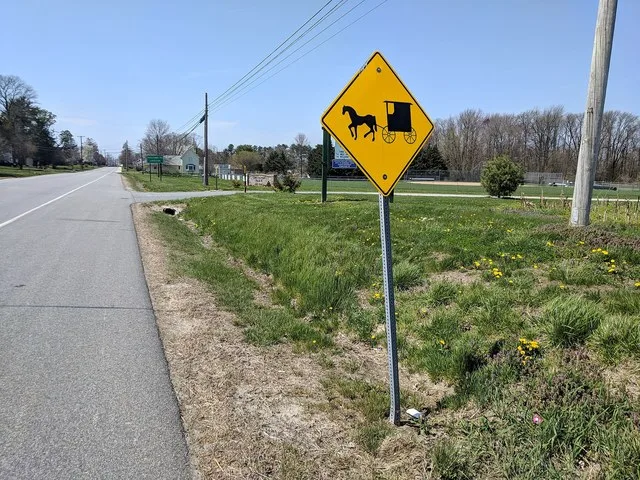 Amish horse and buggy warning signs in Cecilton, Cecil County, Maryland.