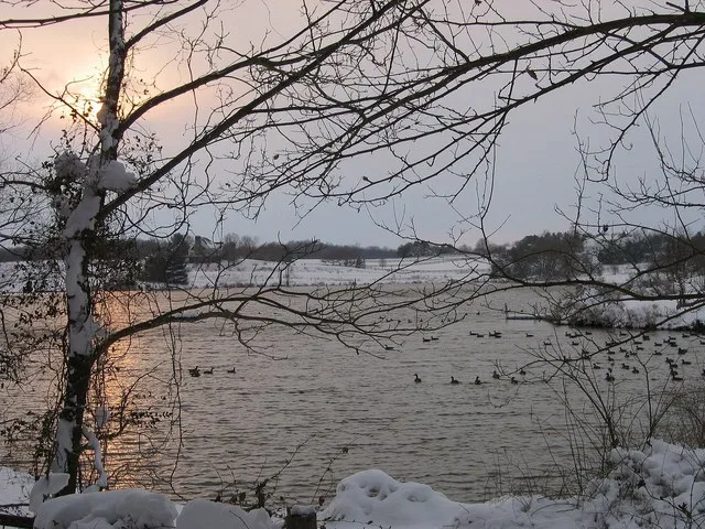 Rural pond area, near Rachel Carson Conservation Park, in northeast Montgomery County, Maryland.