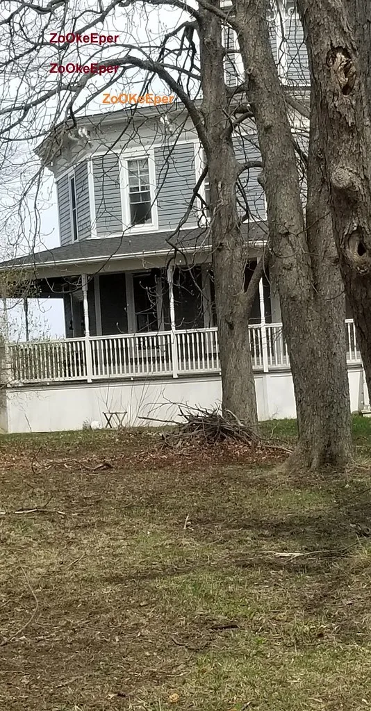 7925 Wildcat RD, Croswell, MI 48422