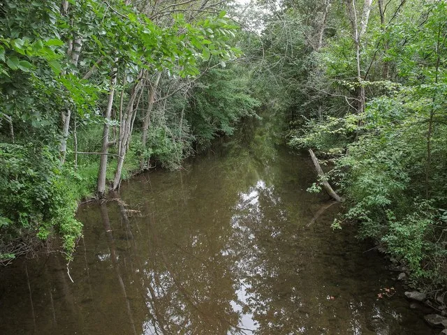 The Coldwater River as viewed from the east side of North East Street in Freeport, Michigan