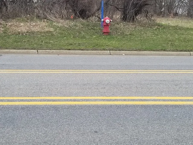 S. State Street, Gobles