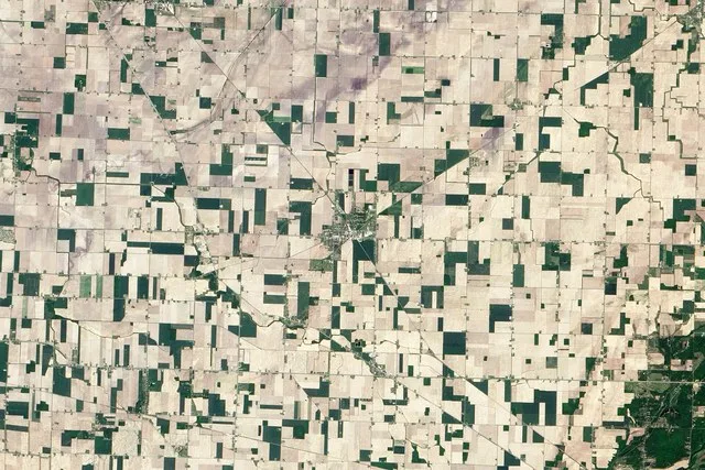 The small town of Reese, Michigan, is a cluster of white and green around the crossroads of two railroads and a highway in this true-color image. Acquired by the Advanced Land Ima...