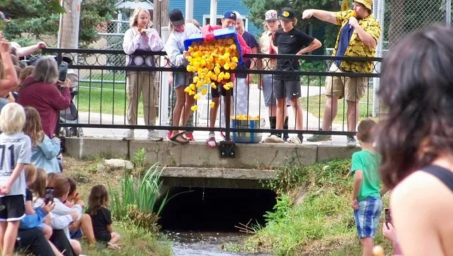 Annual duck racing festival held in Bayport