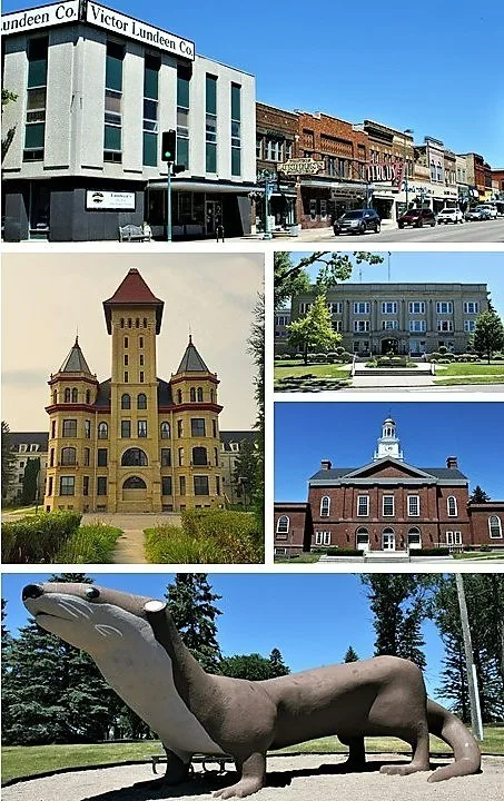 Montage of places in Fergus Falls, Minnesota .