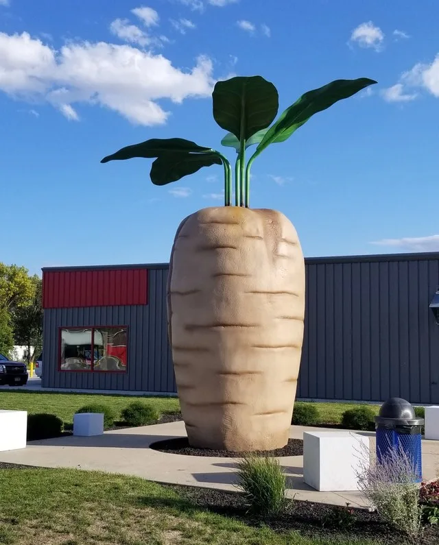 21 feet tall fiberglass sculpture of a sugar beet, created by Minnesota artist Josh Porter and located in Halstad, Minnesota