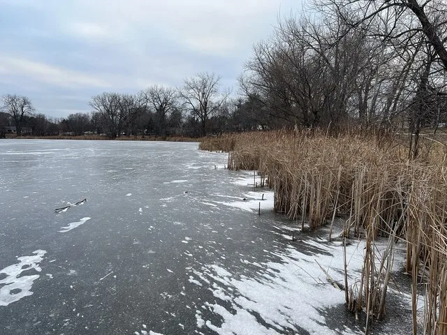 Frozen Wakefield Lake in Maplewood, Minnesota at the start of the new year 2025.