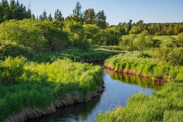 Mississippi River at Coffee Pot Landing - Minnesota