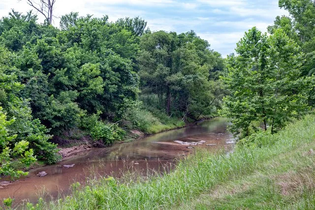 Coles Creek on the Natchez Trace Parkway - Church Hill - Mississippi