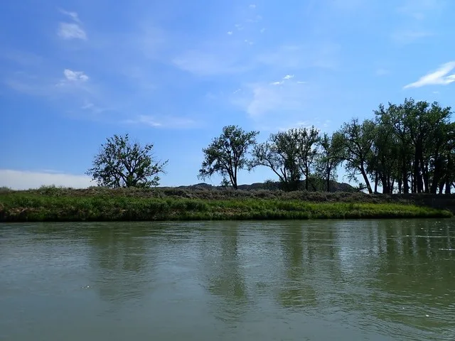 Cottonwoods near the Kipp Homestead, just upstream of the NPNHT river crossing at Cow Creek Upper Missouri River Breaks National Monument