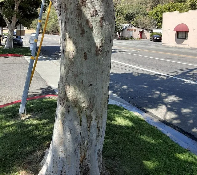 Rockville Road, Fairfield