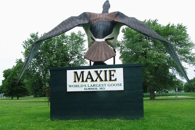 Maxie the Goose, a large statue of a Canadian Goose on display in Sumner, Missouri. The statue commemorates the Sumner areas status as one of North America's prime goose hunting l...