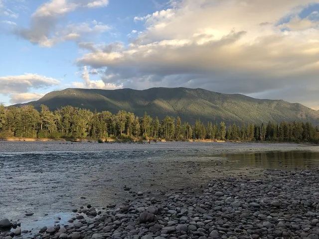 View of the Flathead River form the banks of Columbia Falls