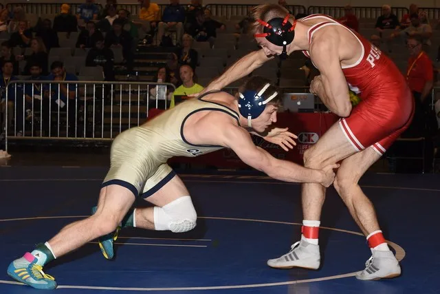 Brock Zacherl vs Collin Purinton 6262