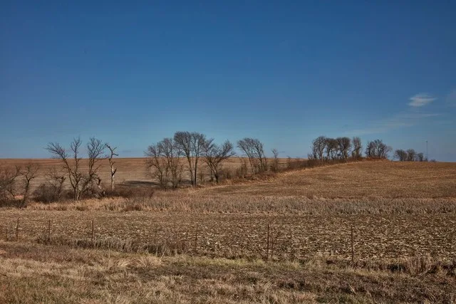tree line December Peru, Nebraska