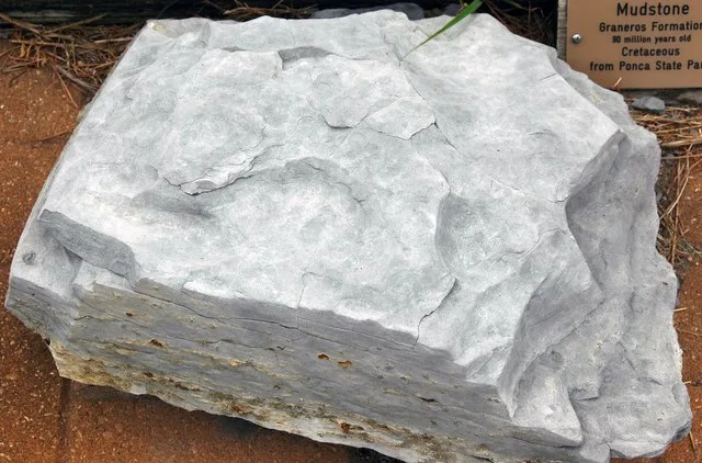 Mudstone (Graneros Formation, Upper Cretaceous; Ponca State Park, Nebraska, USA)