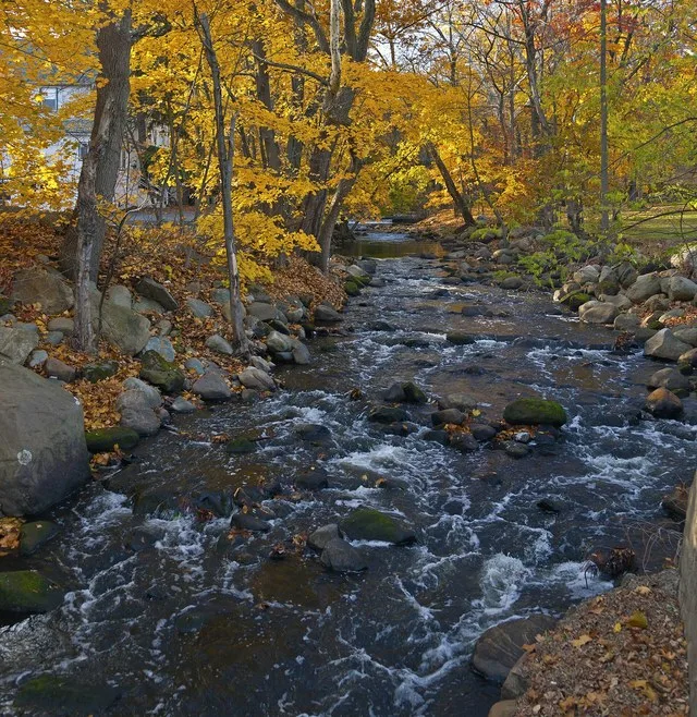 Ho-Ho-Kus Brook near downtown Ho-Ho-Kus , NJ, USA, and the train station .