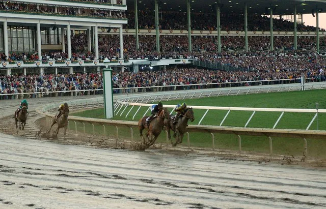 Curlin, Street Sense, Awesome Gem and Tiago holding up the rear at the first turn of the 2007 Breeder's Cup Classic powered by Dodge, at Monmouth Park New Jersey.