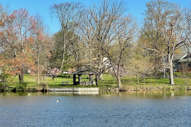 The lake at Cedar Brook Park in Plainfield, New Jersey . View from the walking trail, in South Plainfield, New Jersey . This is an image of a place or building that is listed on t...