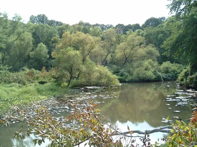 North Branch Big Timber Creek, Stratford, Camden County, New Jersey river stream