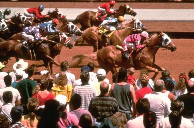 Horse racing at Ruidoso Downs, w:Ruidoso Downs, New Mexico .