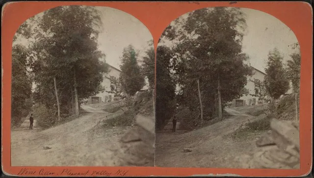 Bolivar, NY city image