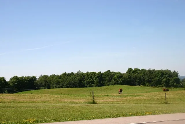Ground moraine near w:Gainesville, New York )