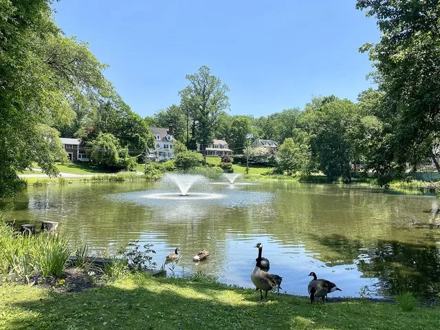 Black Ink Pond in Roslyn Estates, on Long Island, in New York on June 5, 2021.