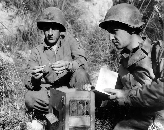 SC 184726 - Pvt. Frank M. Mis, Beacon Falls, Conn., at 45th Div. Command Post, takes instruction on attaching capsule containing message to pigeon's leg from Pfc. John A. Oeverso...