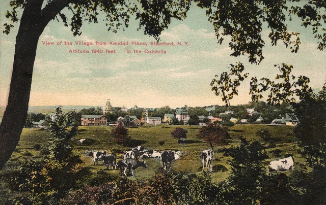 View of the village of Stamford, New York, from Kendall Place. In the Catskill Mountains. Back is divided. Published by NEWVOCHROME, NYC, NY, Leipzig, Dresden, Berlin. Printed in...