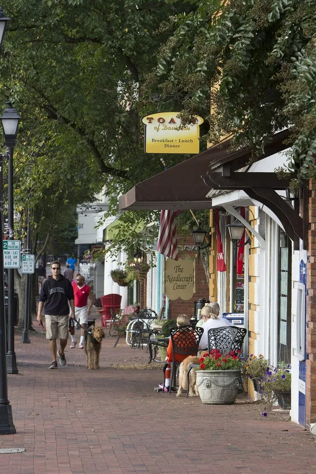 Town of Davidson's Main Street