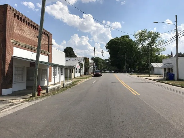 Downtown Sims