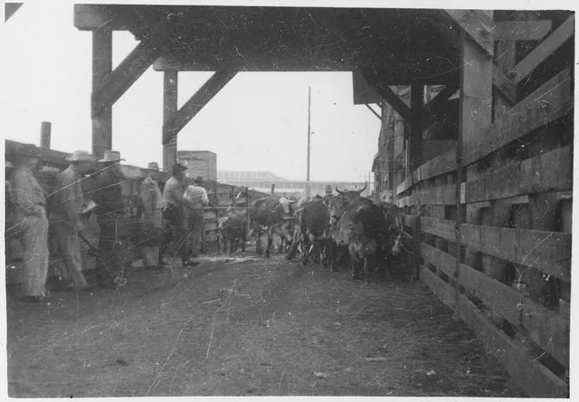 Scope and content: Near the Fort Berthold Reservation.