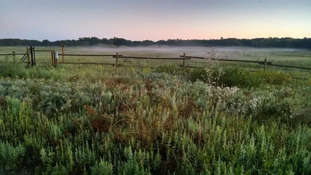 Hankinson Hills Campground, Sheyenne National Grassland, North Dakota
