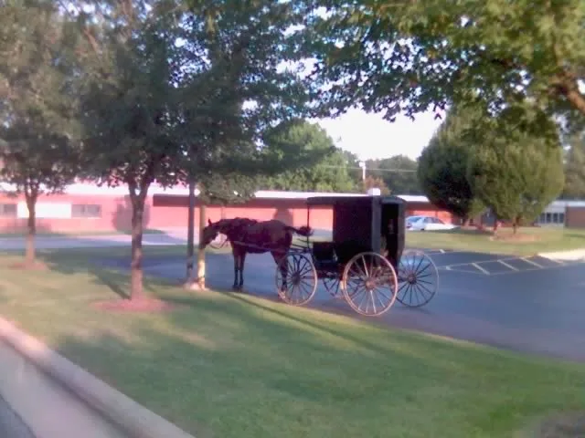 Amish visiting Village of Dalton, Ohio.