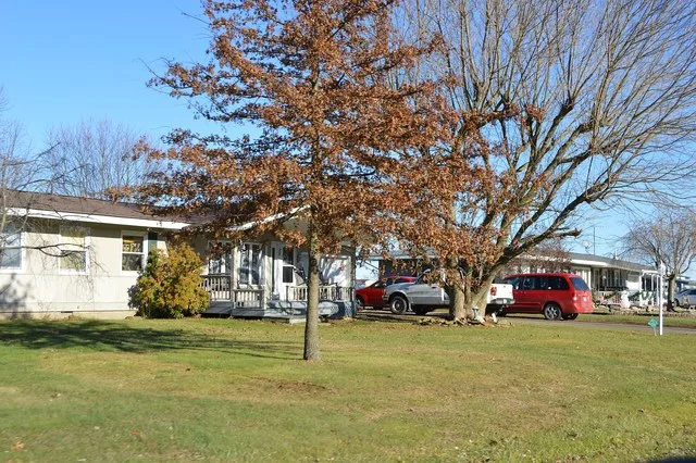Houses on East Drive in the Monroe County section of Wilson , Ohio , United States .
