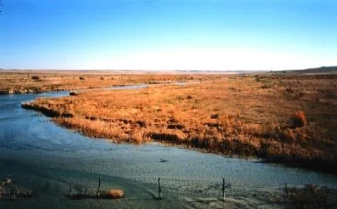 Cimarron River, near Forgan, Oklahoma, USA