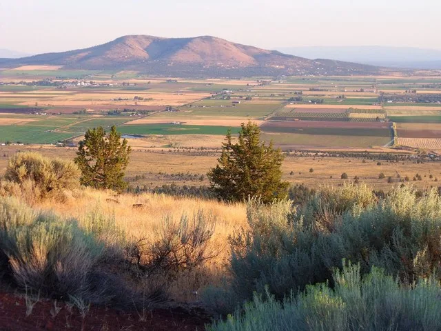 Agricultural fields in Culver, Oregon—a city in Jefferson County—as seen from the summit of Round Butte