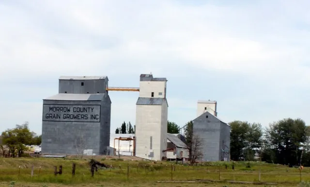 Grain elevators in w:Lexington, Oregon