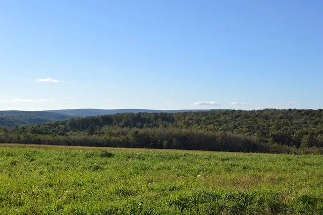Scenery along Gameland Road in the entirely rural borough of Callimont , Pennsylvania , United States .
