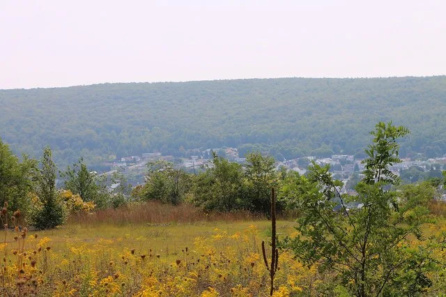 View of Mount Carmel