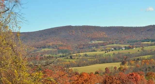 Scene in Murrysville, Westmoreland County, Pennsylvania
