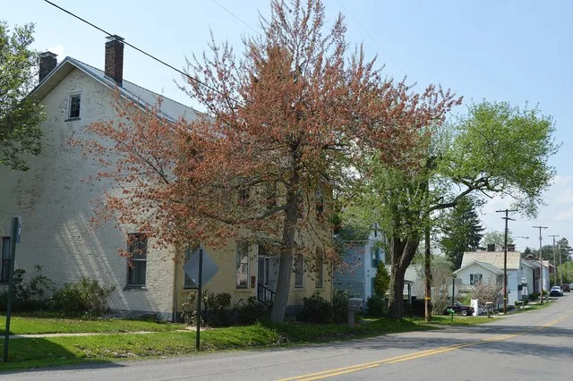 Houses on the western side of Franklin Street ( Pennsylvania Route 528 ) just north of Main Street in Prospect , Pennsylvania , United States .