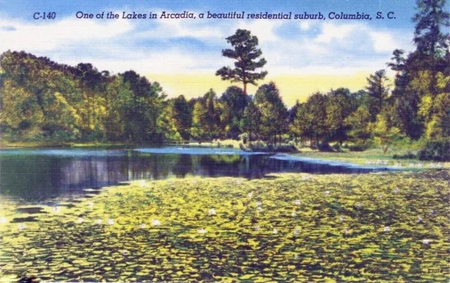 Photomechanical print (postcard) : halftone, colored Divided back Published by Asheville Post Card Co. No. C-140