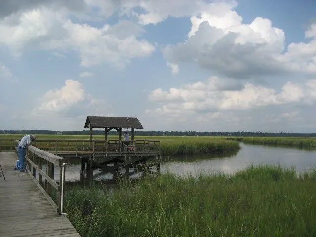 Dock with surrounding marshes on James Island, SC.