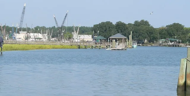 McClellanville, South Carolina : Jeremy Creek, looking upstream.