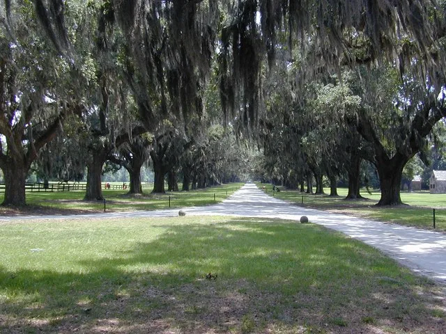 Mount Pleasant, SC city image