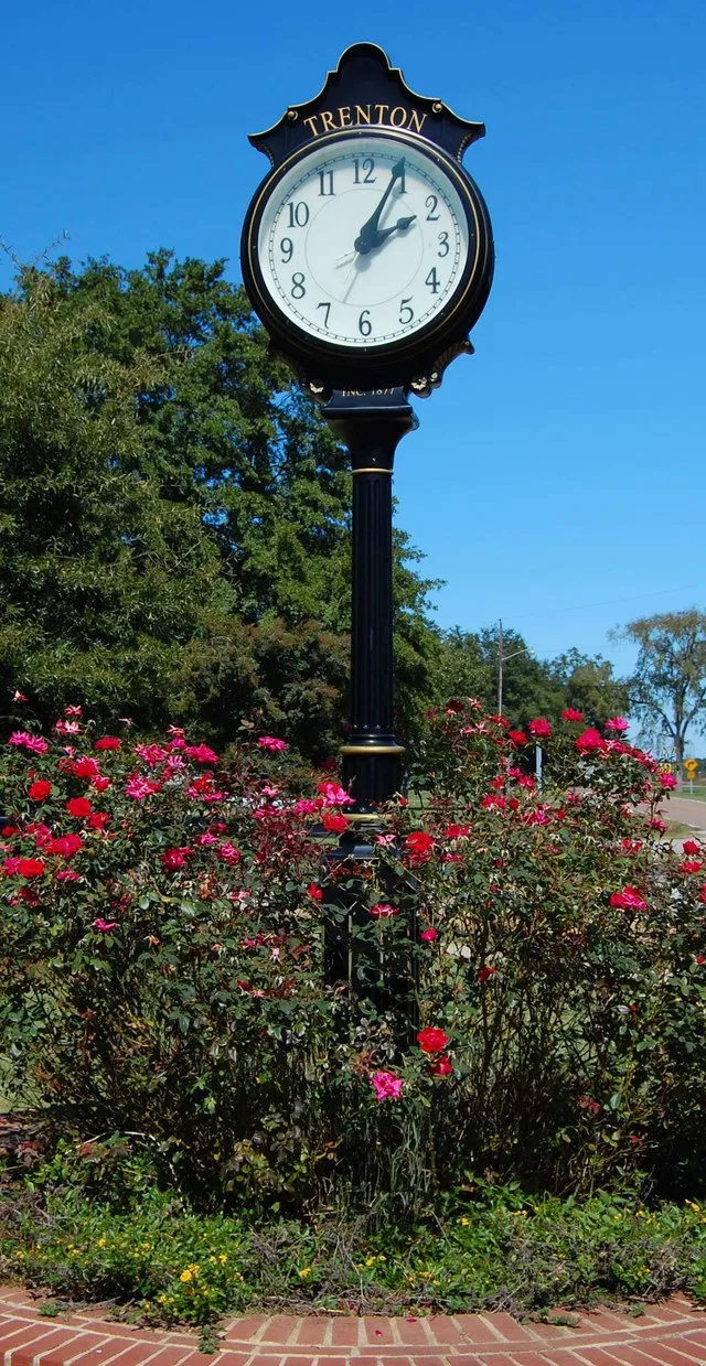 Clock in Trenton, South Carolina